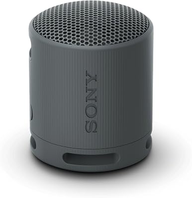 Sony SRS-XB100