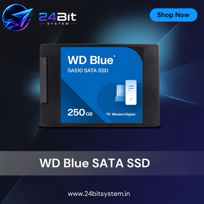 WD Blue 500GB SATA SSD